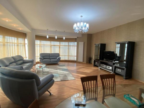 Modern City Center Apartments